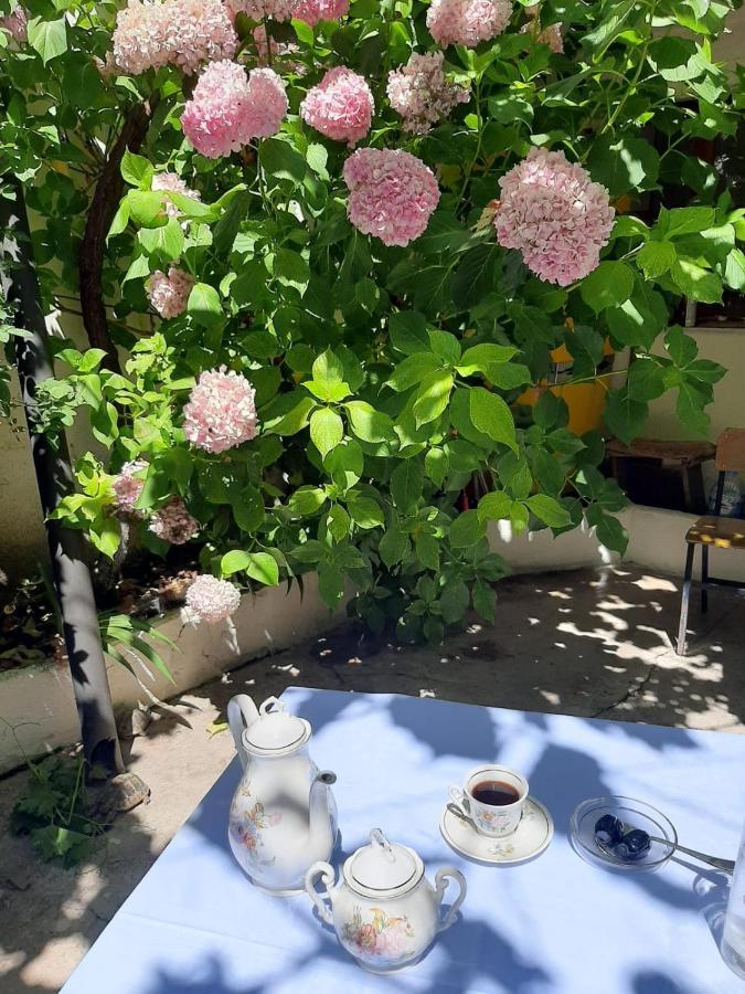 Gjirokastër Vrenjo Guesthouse المظهر الخارجي الصورة